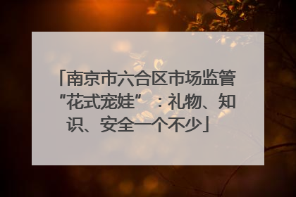 南京市六合区市场监管“花式宠娃”：礼物、知识、安全一个不少