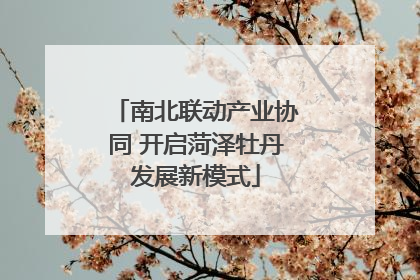 南北联动产业协同 开启菏泽牡丹发展新模式