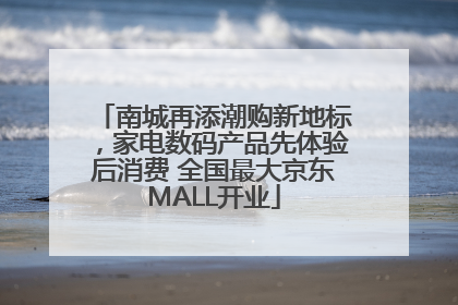 南城再添潮购新地标，家电数码产品先体验后消费 全国最大京东MALL开业