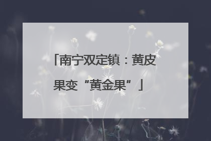 南宁双定镇：黄皮果变“黄金果”