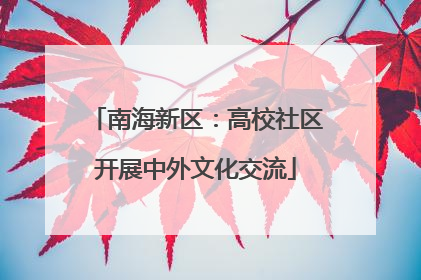 南海新区：高校社区开展中外文化交流