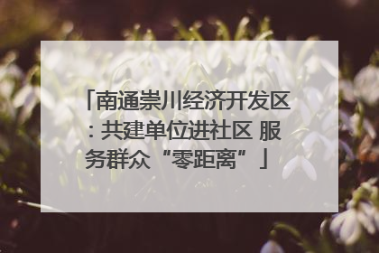 南通崇川经济开发区：共建单位进社区 服务群众“零距离”