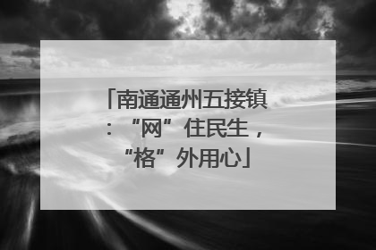 南通通州五接镇：“网”住民生，“格”外用心