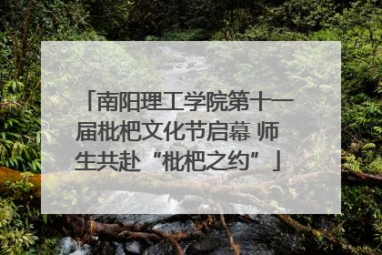 南阳理工学院第十一届枇杷文化节启幕 师生共赴“枇杷之约”