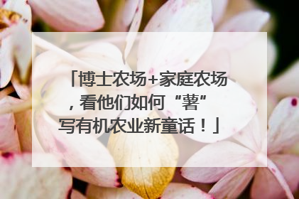 博士农场+家庭农场，看他们如何“薯” 写有机农业新童话！