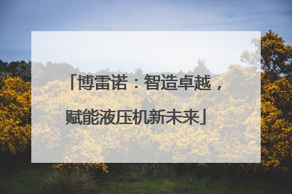 博雷诺：智造卓越，赋能液压机新未来