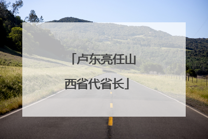 卢东亮任山西省代省长