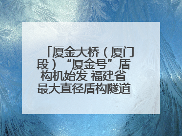 厦金大桥（厦门段）“厦金号”盾构机始发 福建省最大直径盾构隧道正式掘进