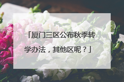 厦门三区公布秋季转学办法，其他区呢？