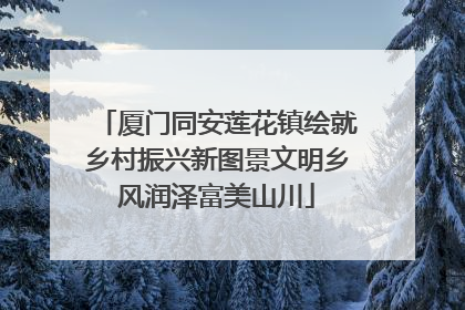 厦门同安莲花镇绘就乡村振兴新图景文明乡风润泽富美山川