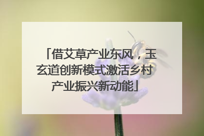 借艾草产业东风，玉玄道创新模式激活乡村产业振兴新动能