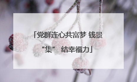 党群连心共富梦 钱景 “集” 结幸福力