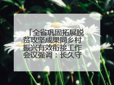 全省巩固拓展脱贫攻坚成果同乡村振兴有效衔接工作会议强调：长久守牢不发生规模性返贫致贫底线 王宁出席并讲话 王予波主持
