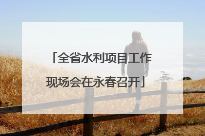 全省水利项目工作现场会在永春召开