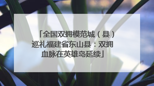 全国双拥模范城（县）巡礼福建省东山县：双拥血脉在英雄岛延续