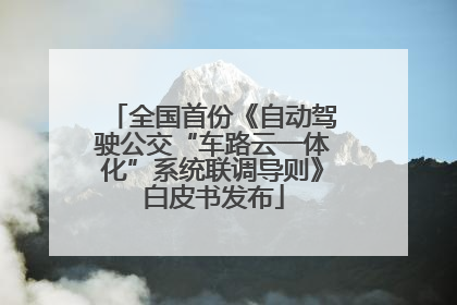 全国首份《自动驾驶公交“车路云一体化”系统联调导则》白皮书发布
