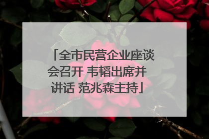 全市民营企业座谈会召开 韦韬出席并讲话 范兆森主持