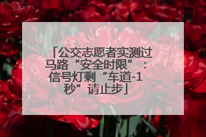 公交志愿者实测过马路“安全时限”：信号灯剩“车道-1秒”请止步