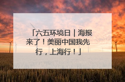 六五环境日｜海报来了！美丽中国我先行，上海行！