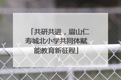 共研共进，眉山仁寿城北小学共同体赋能教育新征程