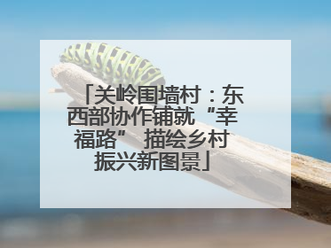 关岭围墙村：东西部协作铺就“幸福路” 描绘乡村振兴新图景