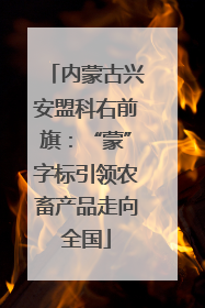 内蒙古兴安盟科右前旗：“蒙”字标引领农畜产品走向全国