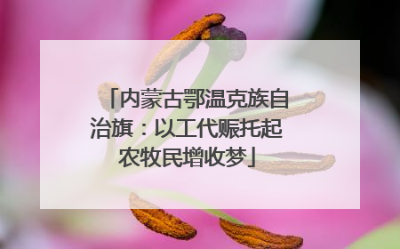 内蒙古鄂温克族自治旗：以工代赈托起农牧民增收梦