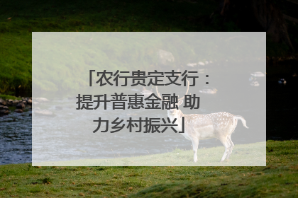 农行贵定支行：提升普惠金融 助力乡村振兴