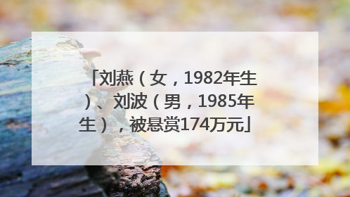 刘燕（女，1982年生）、刘波（男，1985年生），被悬赏174万元