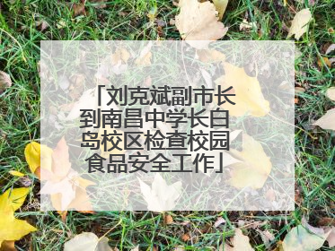刘克斌副市长到南昌中学长白岛校区检查校园食品安全工作