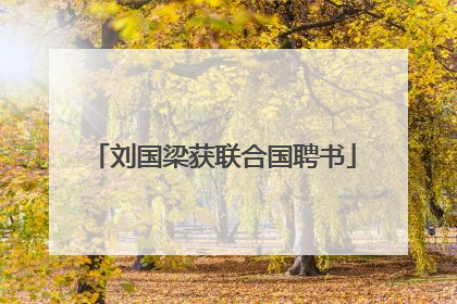 刘国梁获联合国聘书
