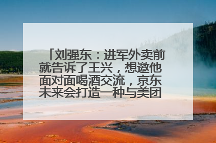 刘强东：进军外卖前就告诉了王兴，想邀他面对面喝酒交流，京东未来会打造一种与美团不同的商业模式
