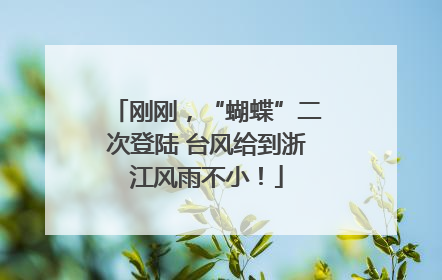 刚刚，“蝴蝶”二次登陆 台风给到浙江风雨不小！