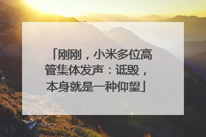 刚刚，小米多位高管集体发声：诋毁，本身就是一种仰望