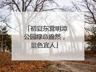 初夏东营明潭公园绿意盎然，景色宜人