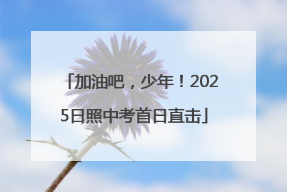 加油吧，少年！2025日照中考首日直击