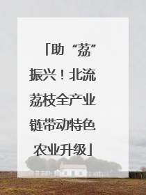 助“荔”振兴！北流荔枝全产业链带动特色农业升级