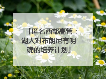 匿名西部高管：湖人对布朗尼有明确的培养计划