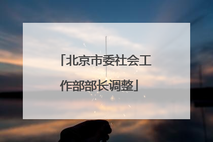 北京市委社会工作部部长调整