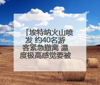 埃特纳火山喷发 约40名游客紧急撤离 温度极高感觉要被烤焦了