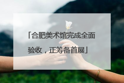 合肥美术馆完成全面验收，正筹备首展