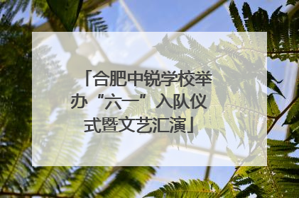 合肥中锐学校举办“六一”入队仪式暨文艺汇演