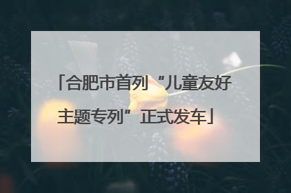 合肥市首列“儿童友好主题专列”正式发车