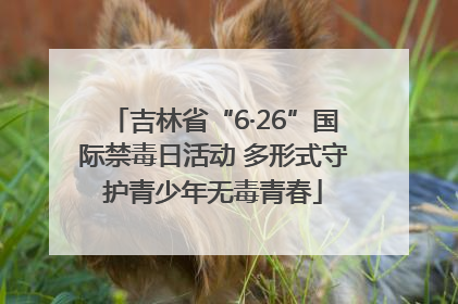 吉林省“6·26”国际禁毒日活动 多形式守护青少年无毒青春