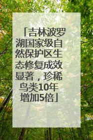 吉林波罗湖国家级自然保护区生态修复成效显著，珍稀鸟类10年增加5倍