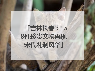 吉林长春：158件珍贵文物再现宋代礼制风华
