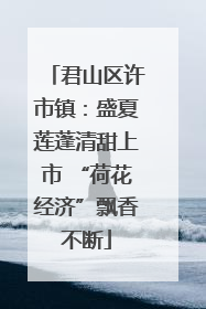 君山区许市镇：盛夏莲蓬清甜上市 “荷花经济”飘香不断