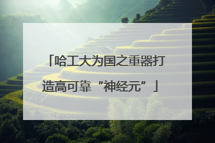 哈工大为国之重器打造高可靠“神经元”
