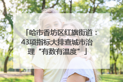 哈市香坊区红旗街道：43项指标大排查城市治理“有数有温度”