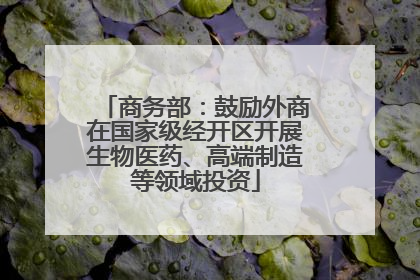 商务部：鼓励外商在国家级经开区开展生物医药、高端制造等领域投资